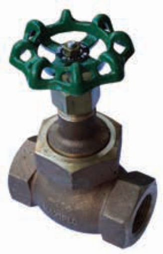 AAP Industries Bronze Globe Valve-1
