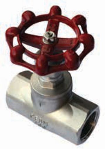 AAP Industries Stainless Steel Globe Valve-1
