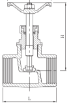 AAP Industries Stainless Steel Globe Valve-3