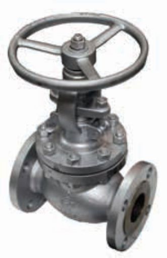 AAP Industries Cast Steel Flanged Globe Valve ANSI 150-1