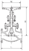 AAP Industries Cast Steel Flanged Globe Valve ANSI 300-2