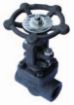 AAP Industries Forged Steel Globe Valve NPT Class 800-1