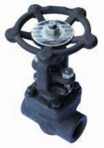 AAP Industries Forged Steel Globe Valve NPT Class 800-1