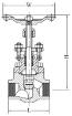 AAP Industries Forged Steel Globe Valve NPT Class 800-2