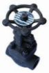 AAP Industries Forged Steel Globe Valve Socketweld Class 800-1