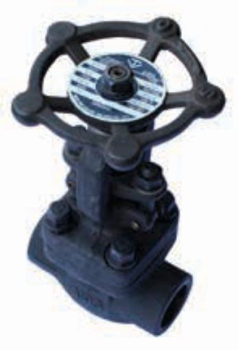 AAP Industries Forged Steel Globe Valve Socketweld Class 800-1