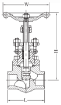 AAP Industries Forged Steel Globe Valve Socketweld Class 800-2
