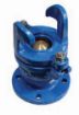 AAP Industries Spring Hydrant Valve-1