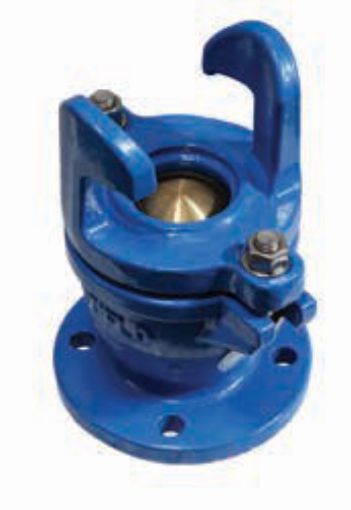 AAP Industries Spring Hydrant Valve-1