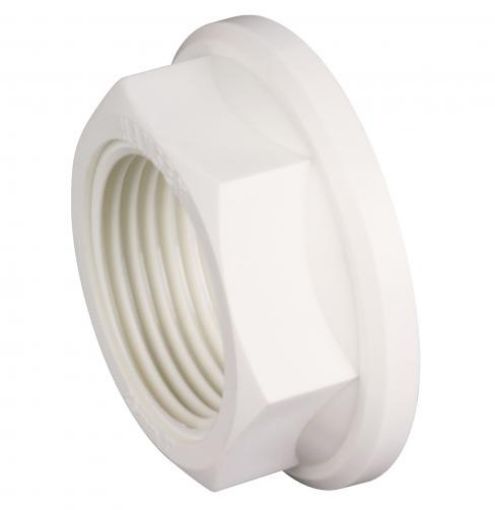 Hansen Back Nut White-1