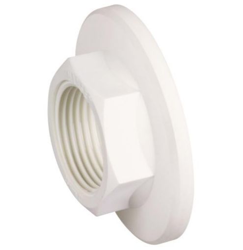 Hansen Large Back Nut White-1