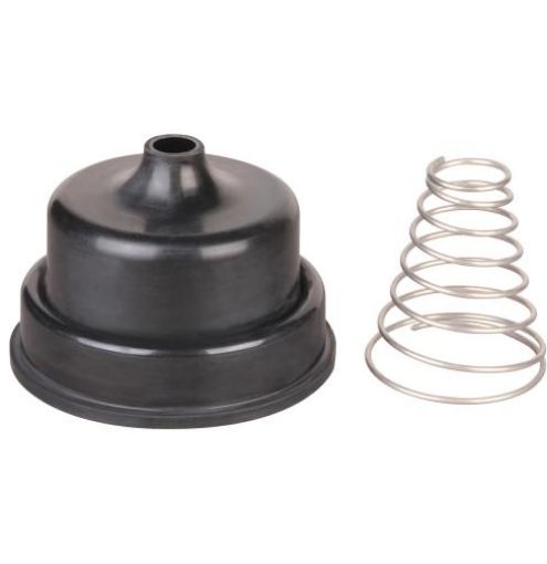 Hansen FV & CV Diaphragm & Spring-1